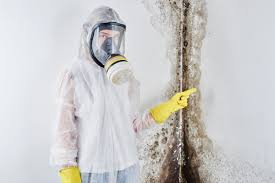 Reliable Fairbanks Ranch, CA Mold Removal Solutions